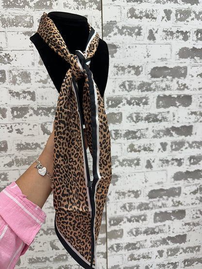 Outlaw Cheetah