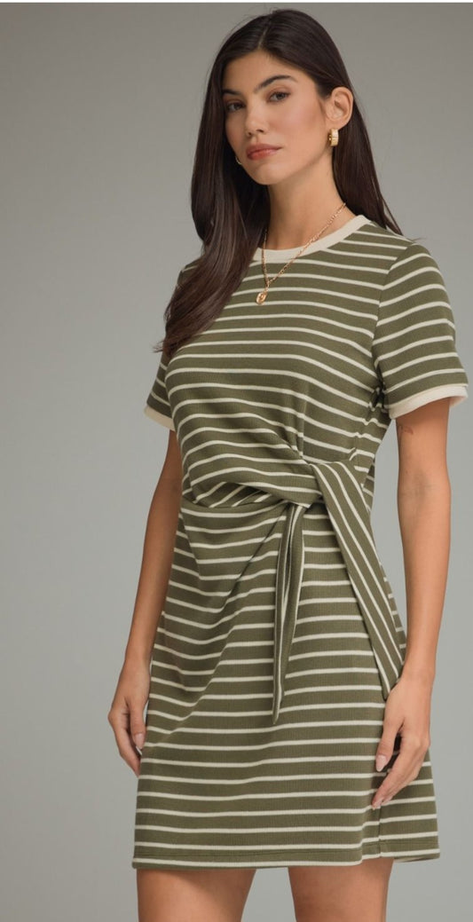 Sidekick Striped Dress