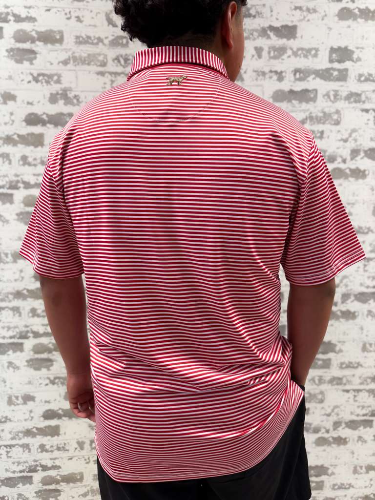 Marshall Polo