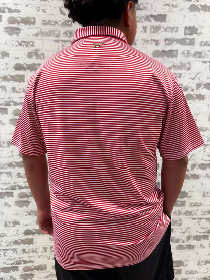 Marshall Polo