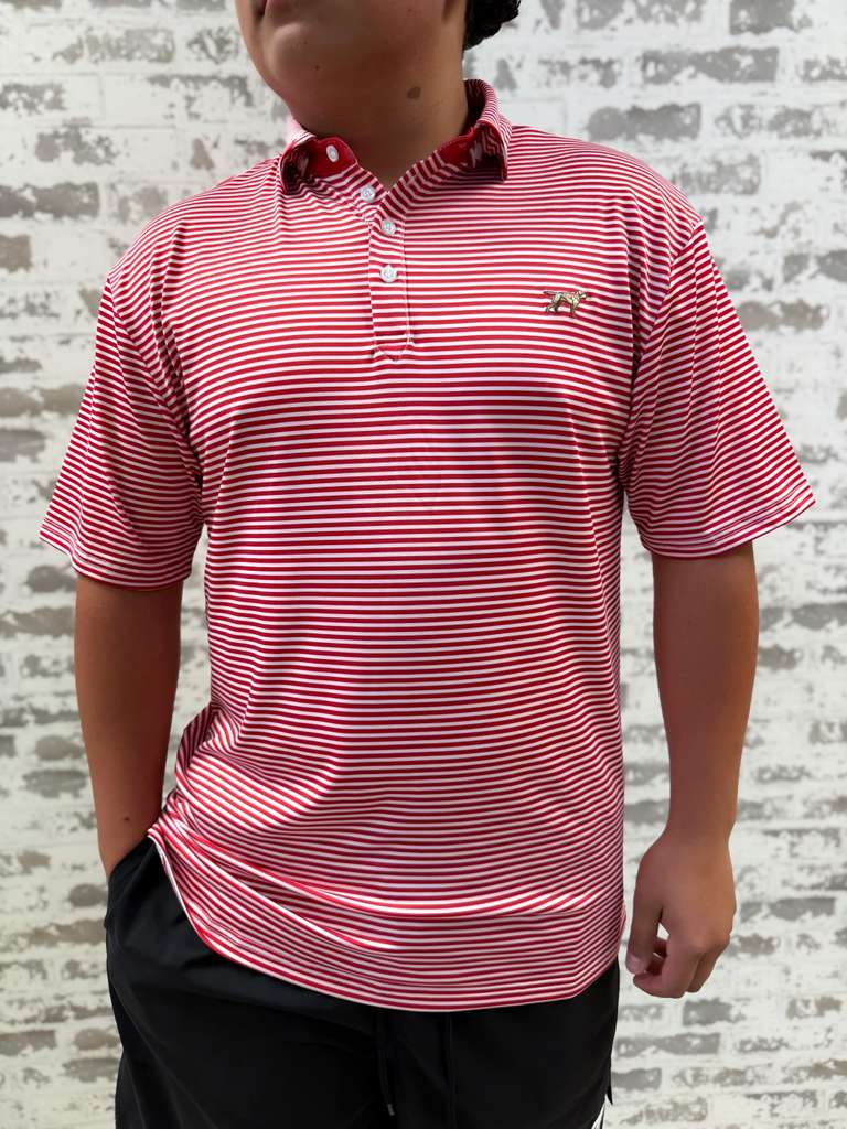Marshall Polo