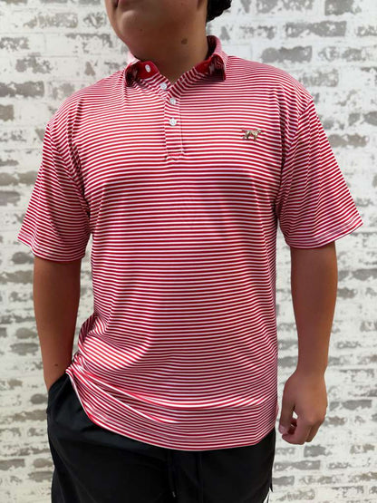 Marshall Polo