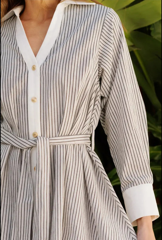 Alexia Striped Dress