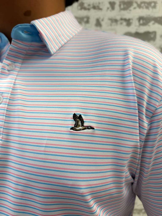Cayuga Polo