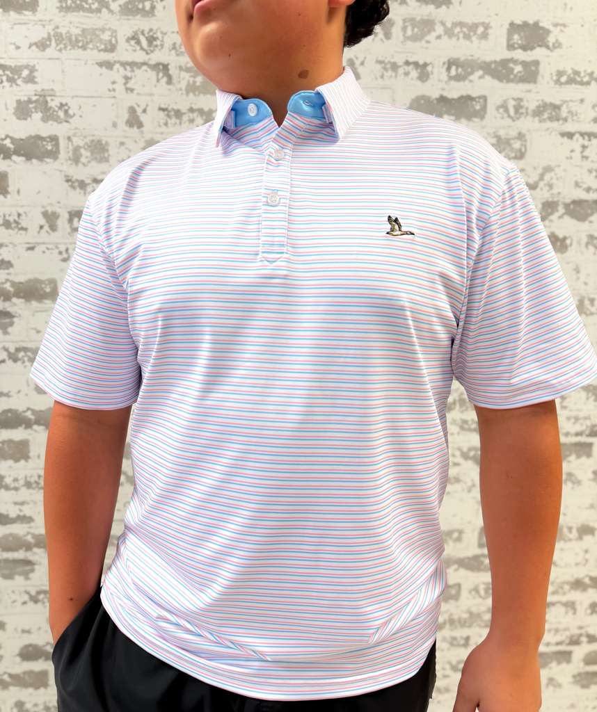 Cayuga Polo